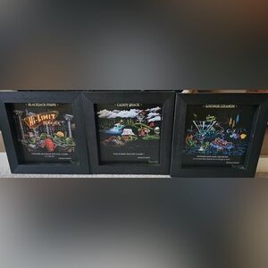 Black Framed Art Trio